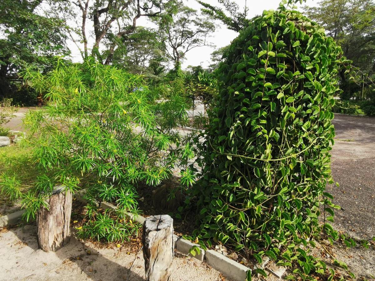 Happy Forest B&B Katima Mulilo Exterior foto